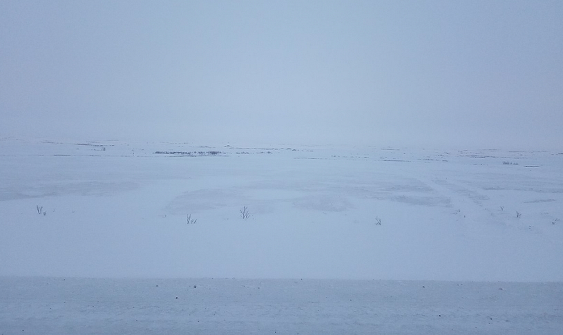 Архангельская область, тундра зимой