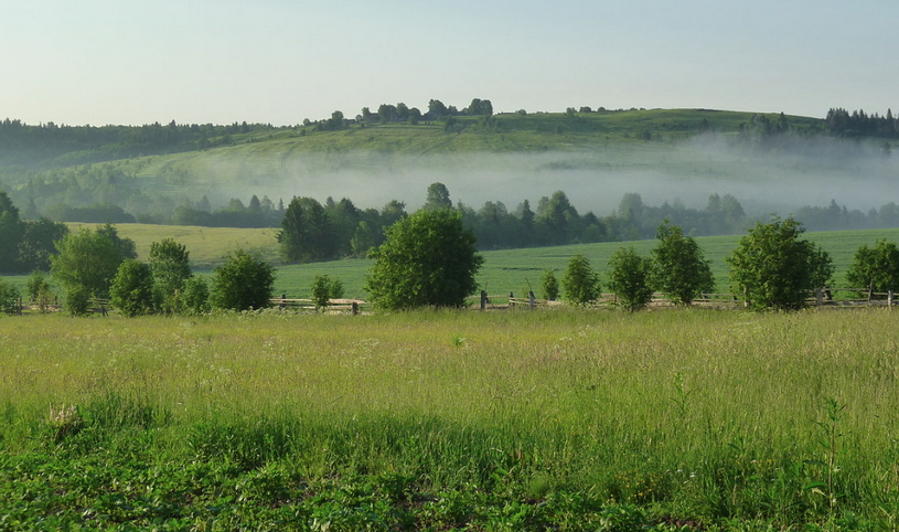 Красивый вид с горы, пейзаж, лес