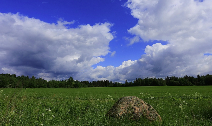Поле в Ленинградской области, Восточно-Европейская равнина
