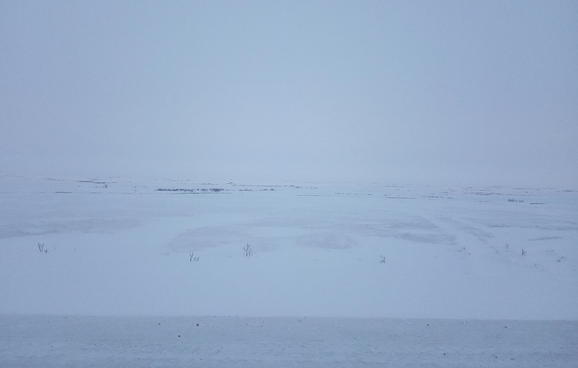 Холодная зима на Северо-Сибирской низменности, снежная равнина