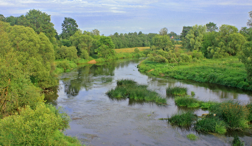 Красивая река, лето, природа, Верхневолжская низменность