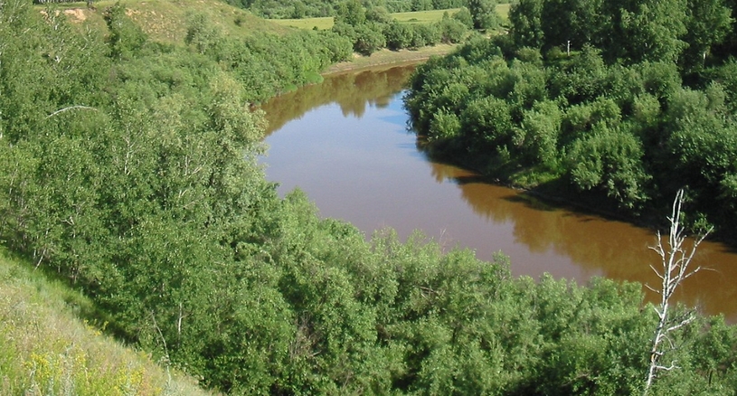 Васюганская равнина, небольшая река, лето