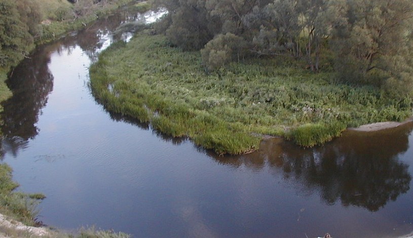 Река в Калининградской области, пейзаж, природа