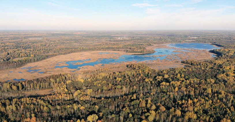 Плюсский район осенью, фото с дрона, озеро