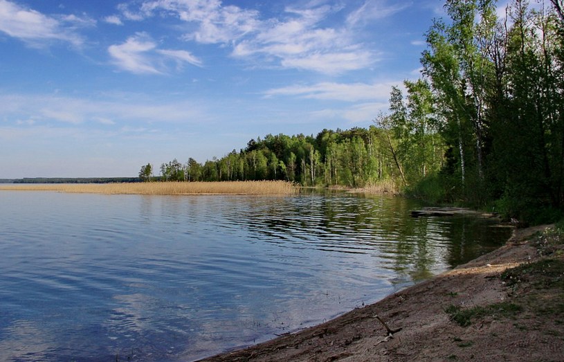 Низменность, озеро, Калининградская область и ее рельеф