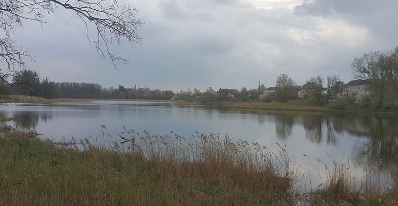 Правдинский район Калининградской области, озеро, осень, пейзаж в тумане