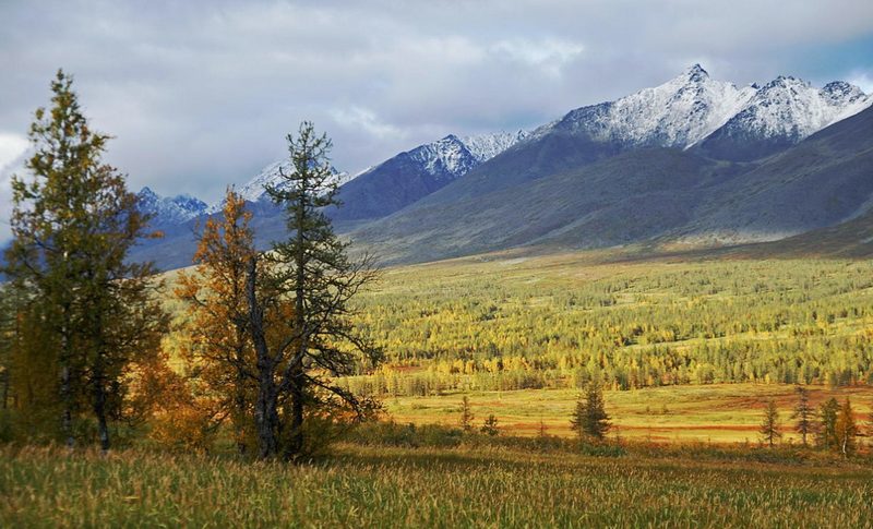 Республика Коми, Уральские горы, лес, пейзаж, красивая осень